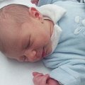 IMG-20121205-WA0007