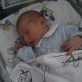 IMG-20121206-WA0000