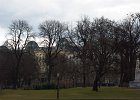 IMGP3919